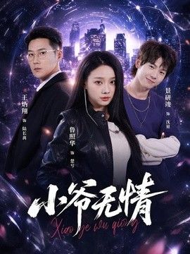 小爷无情高清海报