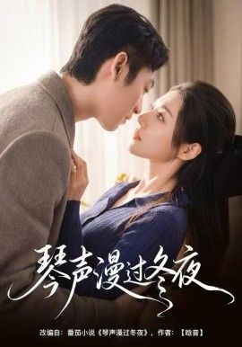 琴声漫过冬夜高清海报