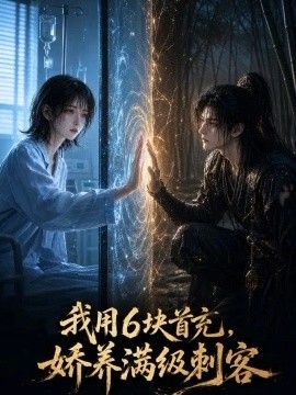 我用6块首充，娇养满级刺客高清海报