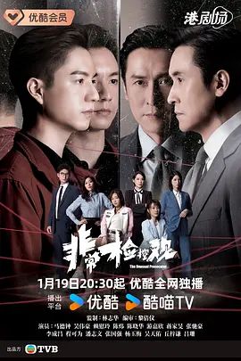 非常检控观国语高清海报