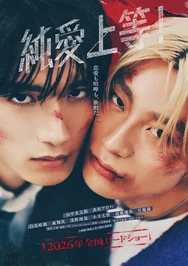 纯爱上等高清海报