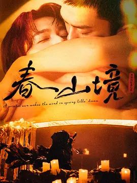 寒阳风起春山境高清海报