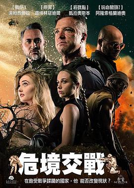 危境交战高清海报