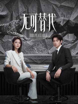 无可替代高清海报