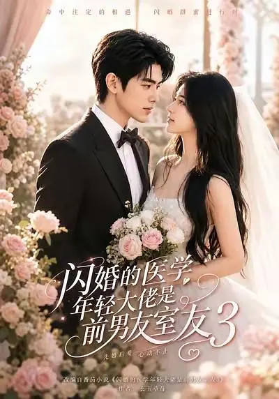 闪婚的医学年轻大佬是前男友室友3高清海报