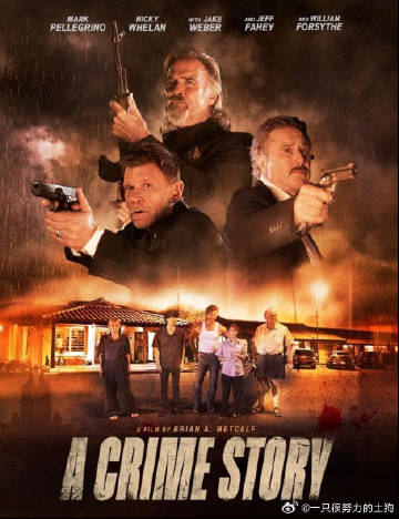 A Crime Story高清海报