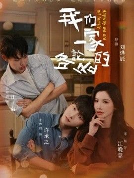 我们一家各论各的高清海报