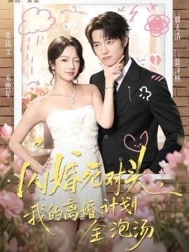闪婚死对头，我的离婚计划全泡汤高清海报