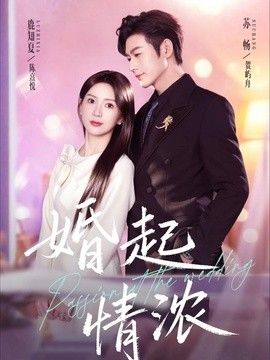 婚起情浓高清海报