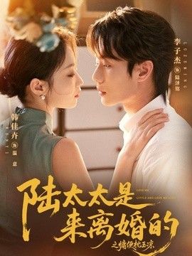 陆太太是来离婚的之慵便枕玉凉高清海报