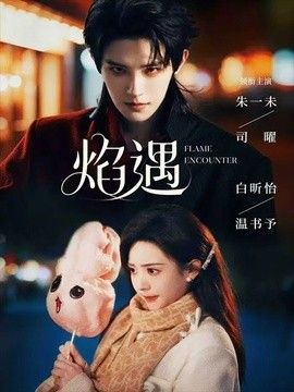 焰遇高清海报