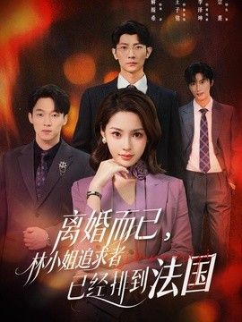 离婚而已，林小姐追求者已经排到法国高清海报