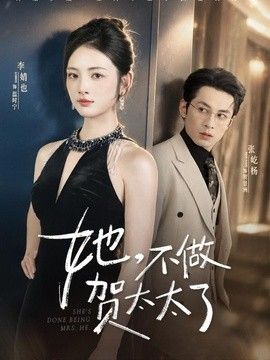她，不做贺太太了高清海报