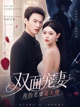 双面宠妻：我的老婆是大佬高清海报