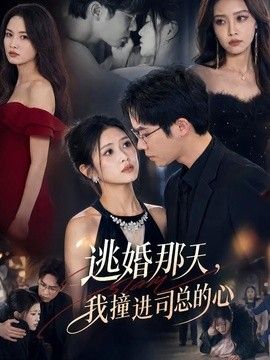 逃婚那天，我撞进司总的心高清海报