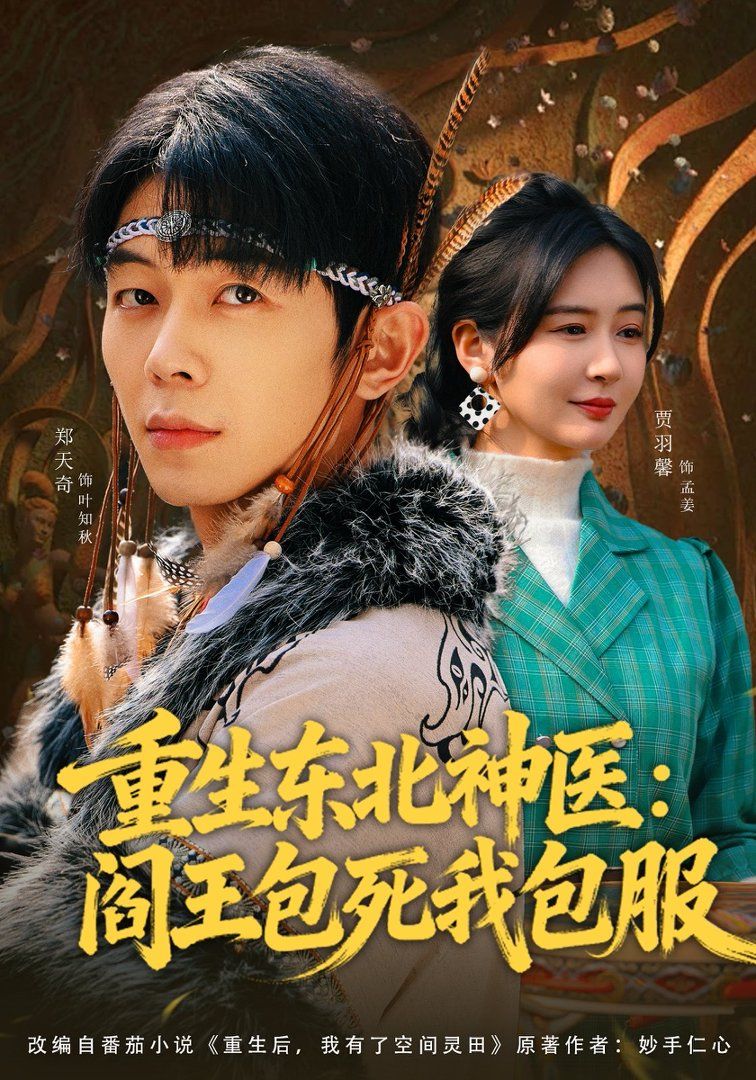 重生东北神医：阎王包死我包服高清海报