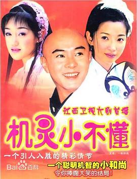 机灵小不懂高清海报