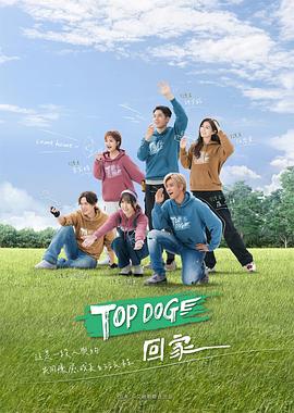 TOP DOG高清海报