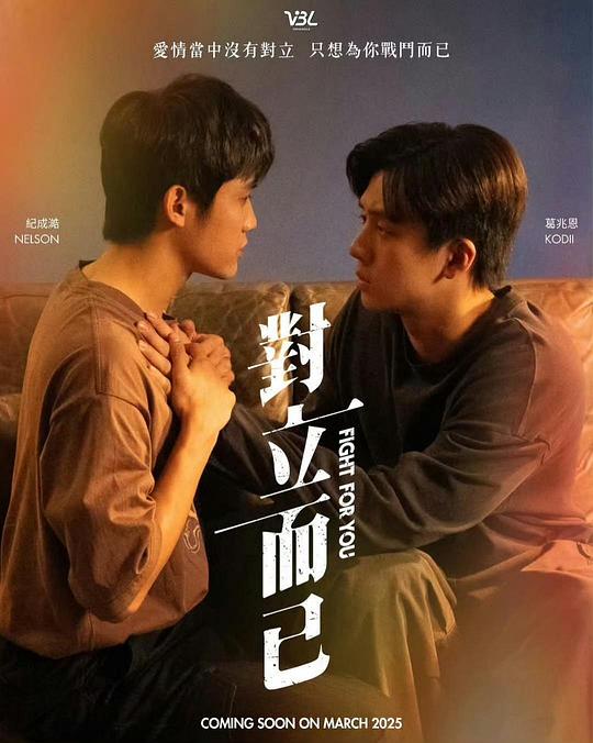 对立而已高清海报