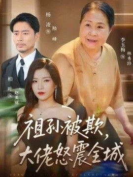 祖孙被欺，大佬怒震全城高清海报